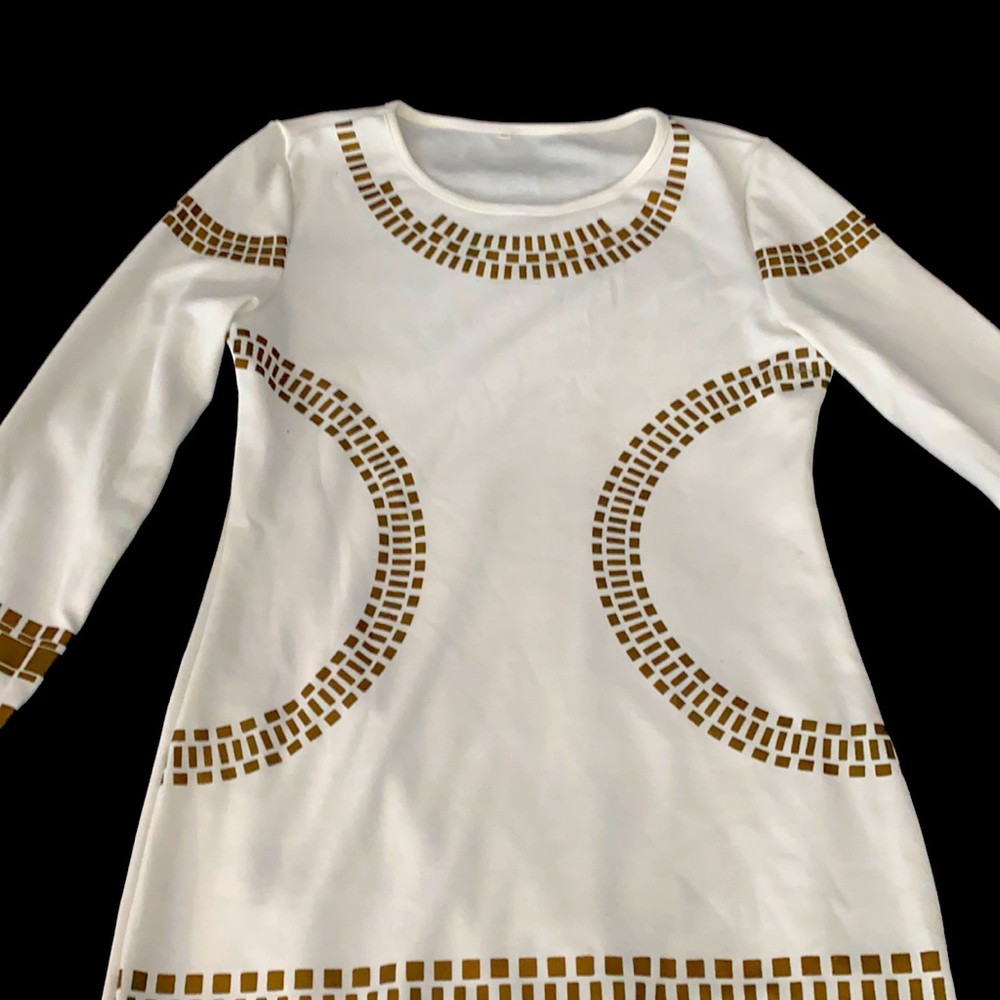 Long sleeve fashion to figure dress